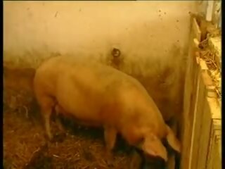 Es lebe das Landleben - Baeuerin im Schweinestall gefickt